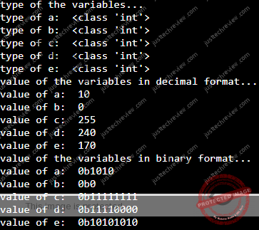 Create an integer variable by assigning binary value in Python