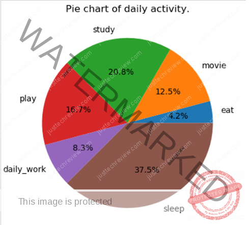 Draw a pie chart that shows our daily activity in Python
