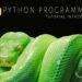 PYTHON PROGRAMMING