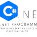 Properties (get and set) in structure in C#